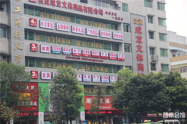 一对山文体商城外墙形象强